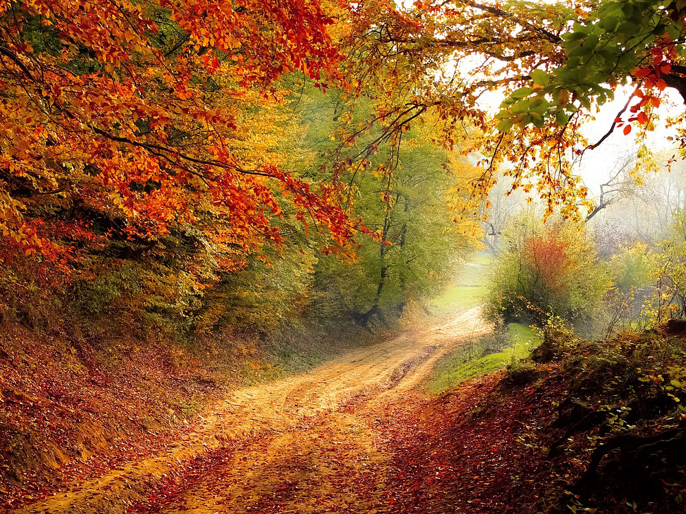 HERBSTZEIT ist VERWÖHNZEIT (Angebot für Paare)